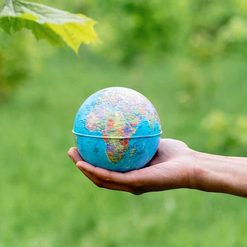 An ordinary human’s guide to COP30&nbsp;🌍